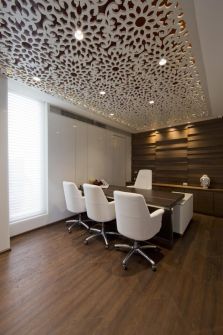 Lattice Panel Ceiling